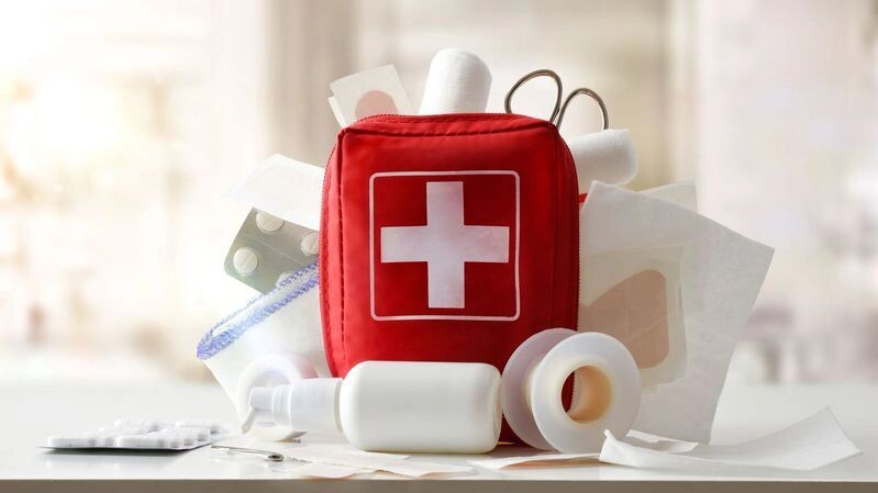    Фото: Davizro Photography/Shutterstock/Fotodom