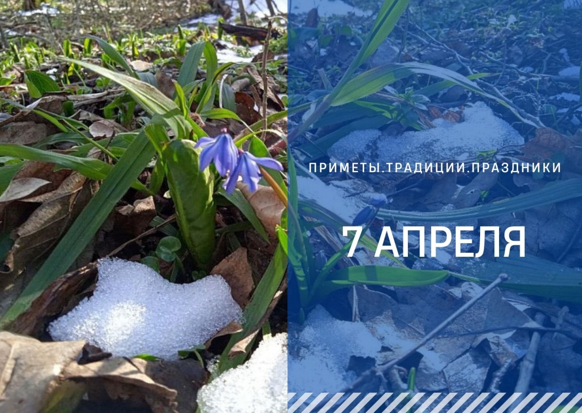   ГТРК "Ставрополье"