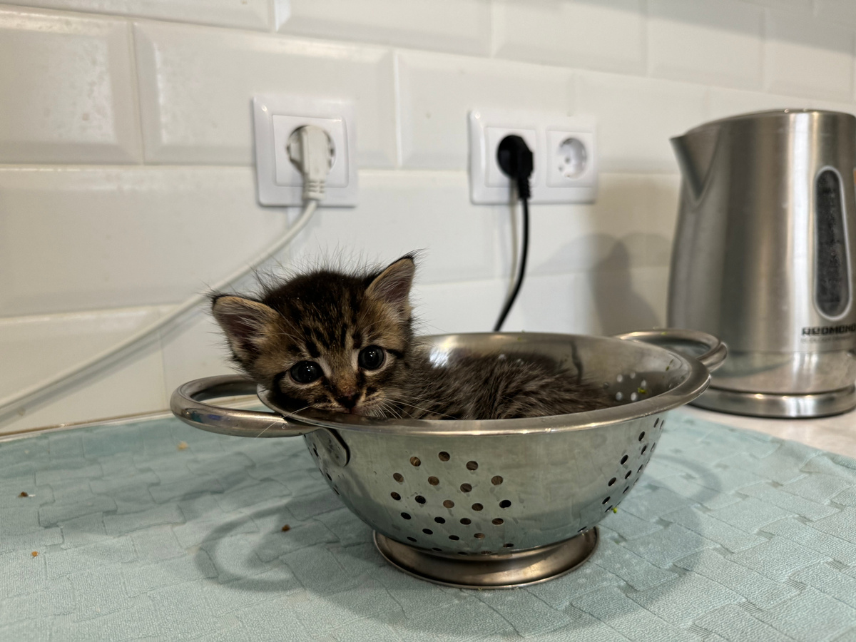 Фото из архива автора