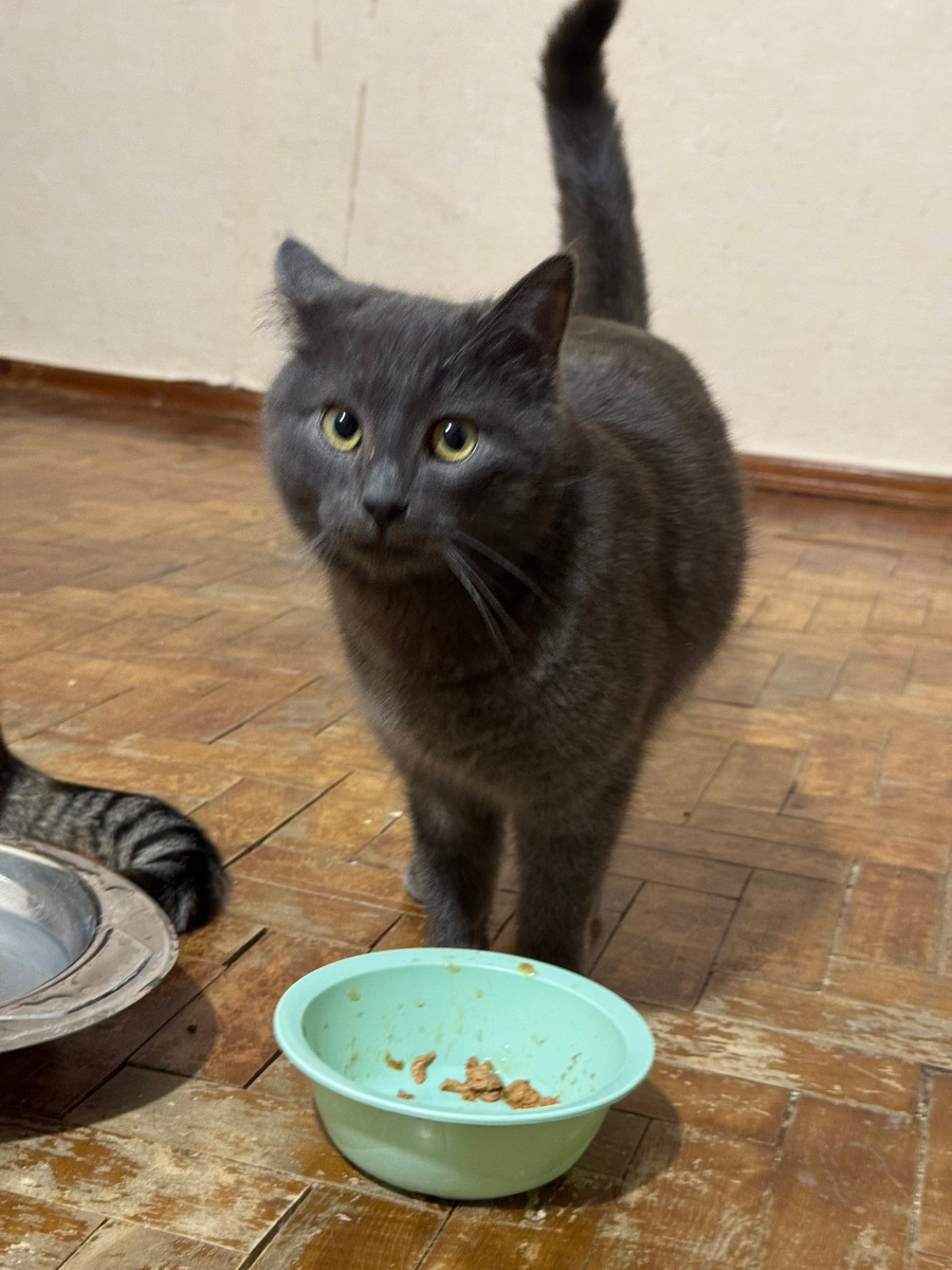 Фото из архива автора