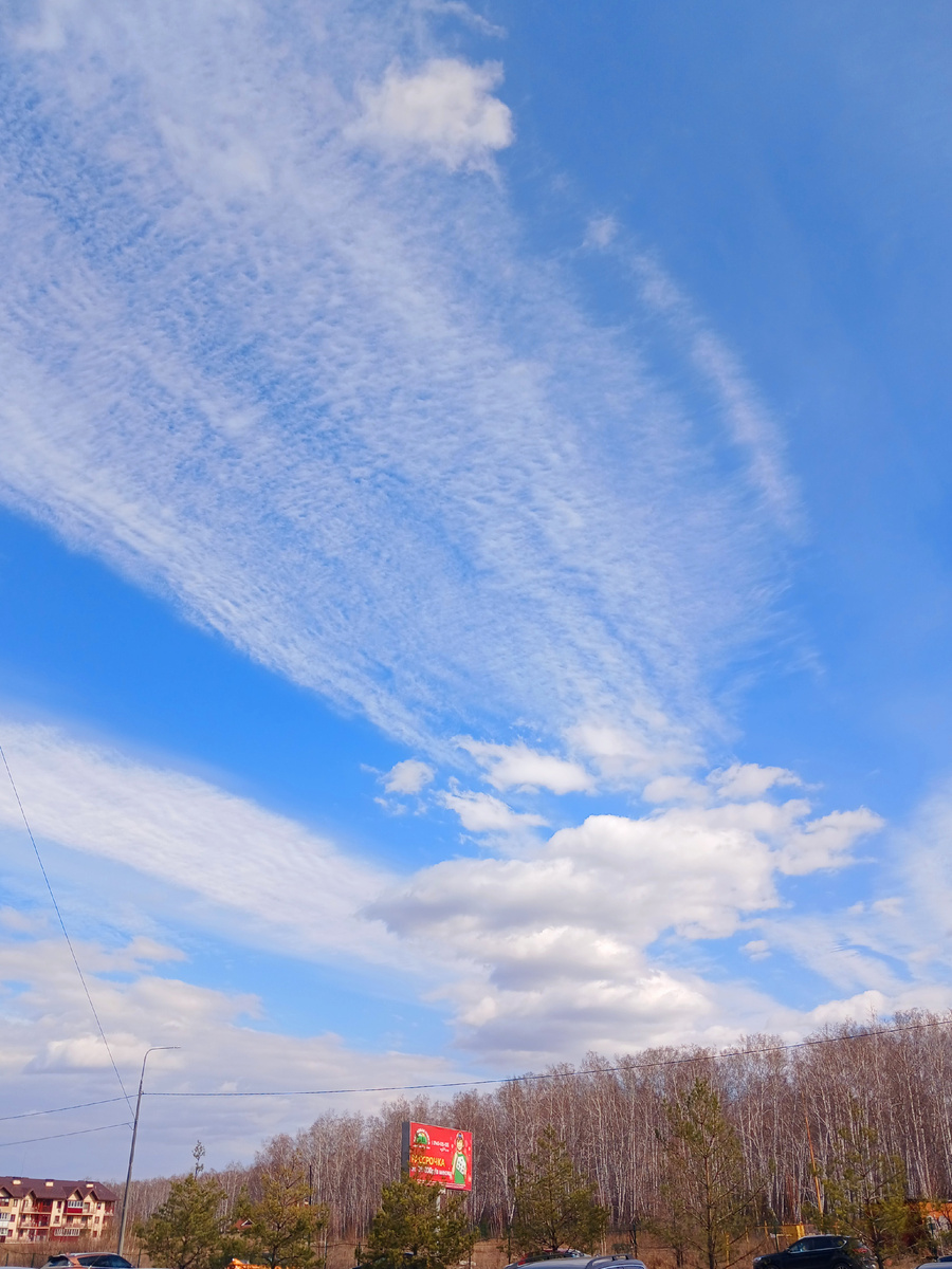 "Доброе утро, мир! Ты прекрасен!" Фото автора