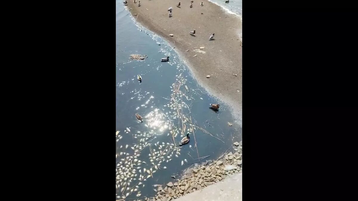 Фото: Тг-канал «Красивая Находка»