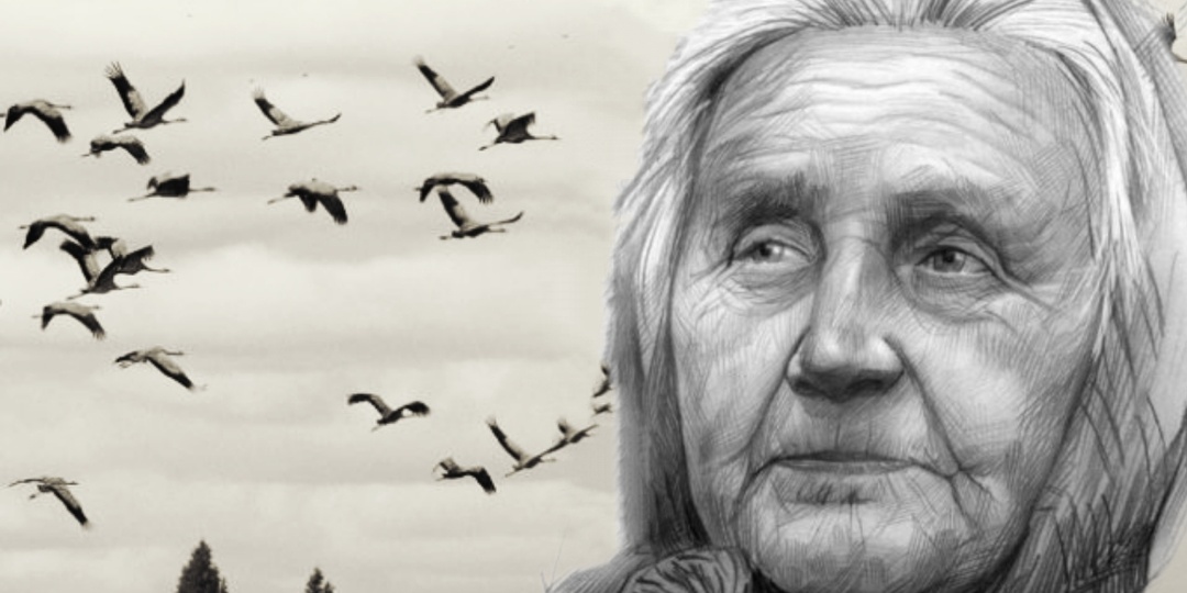 А птицы вернутся. Рассказ