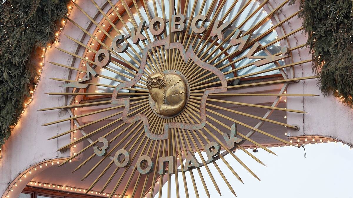    Фото: Василий Кузьмиченок / АГН Москва