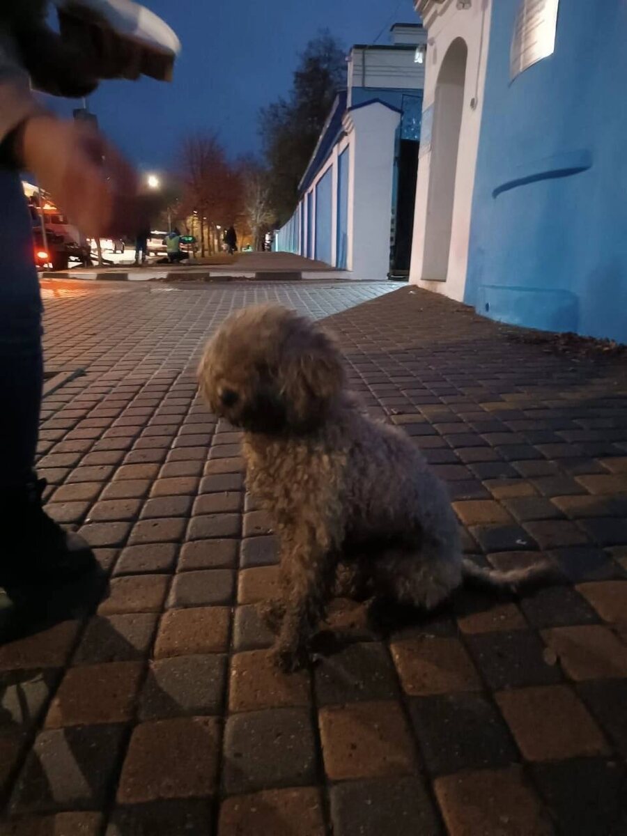 Фото из архива автора