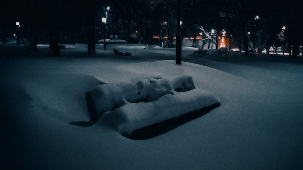 Светлана Мулыкина📷
