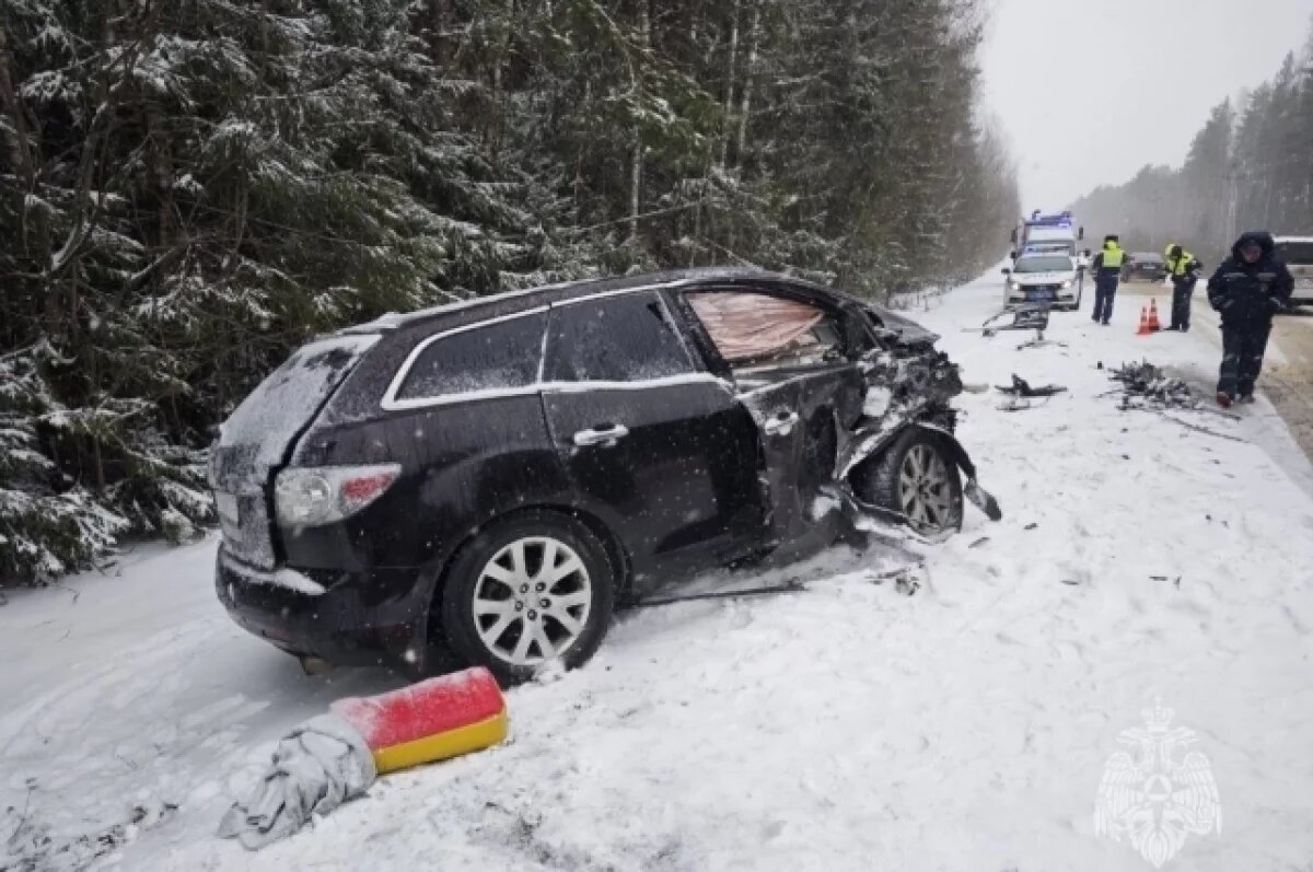    В Нижегородской области в ДТП пострадали 7 человек, из них 4 ребенка