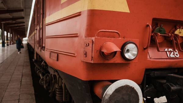    Фото: freepik.com/freepik Ольга Чистова