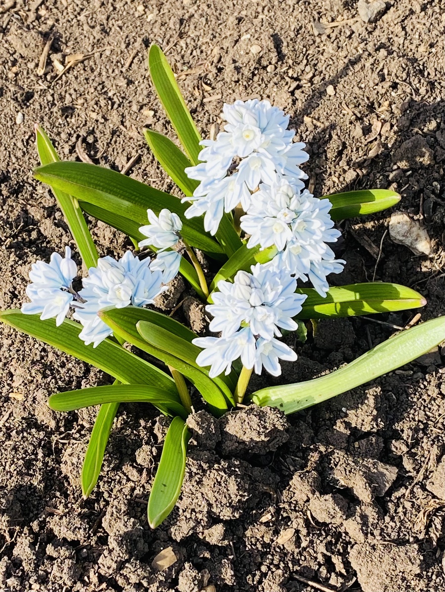 Вот наконец