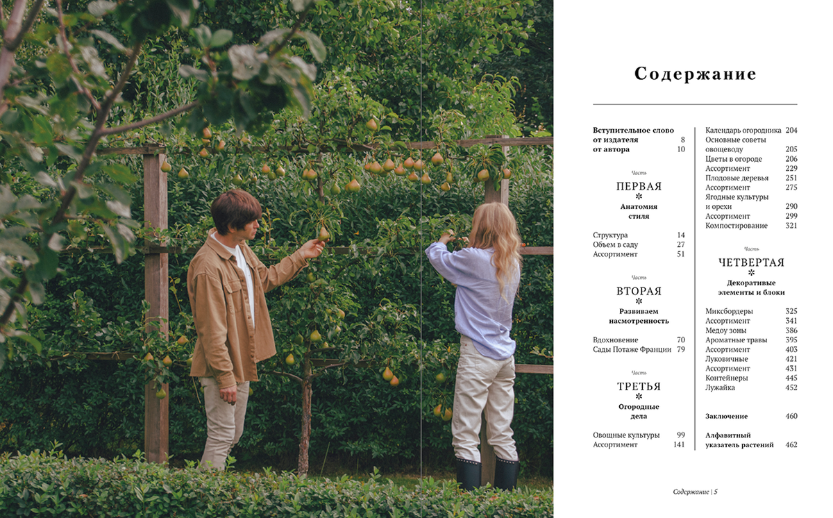 Вот содержание и главные герои книги.