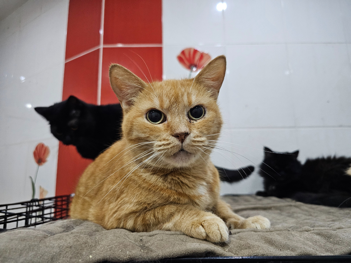 Фото автора. Жанне.