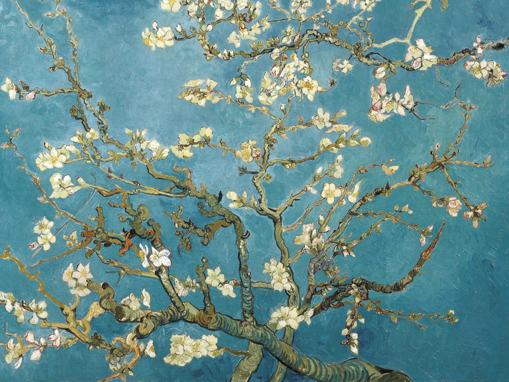 Винсент Ван Гог «Цветущие ветки миндаля», 1890. Музей Ван Гога, Амстердам, Нидерланды. Фото картины взято из открытых источников 