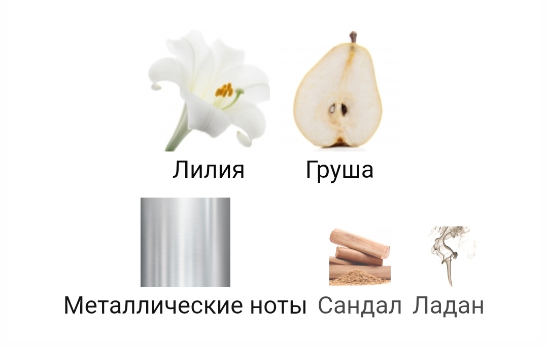 Коротко о La Vierge De Fer Serge Lutens