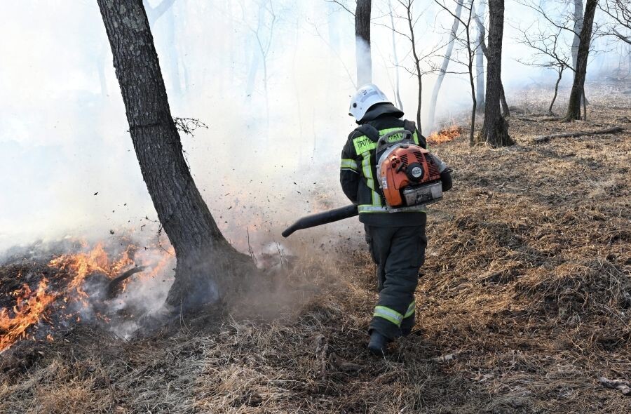     / Источник: © Виталий Аньков/РИА Новости