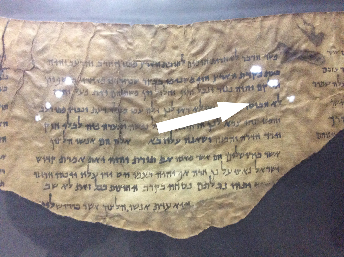    Тайна кумранских рукописей кто спрятал свитки мертвого моря