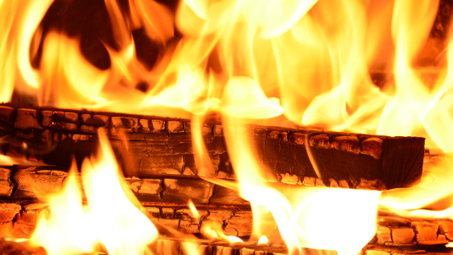 Фото: pxhere.com