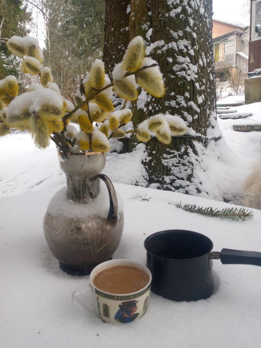 Сегодня с утра.