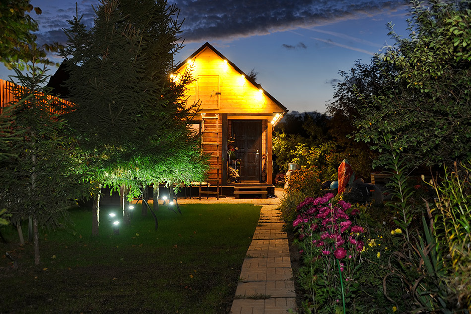 фото из интернета