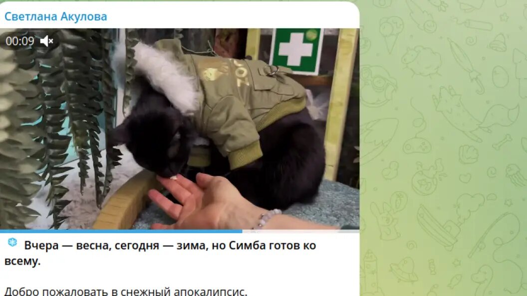    фото: тг-канал директора московского зоопарка.
