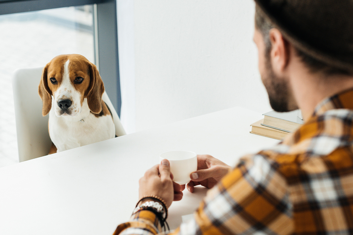 Любовь к собаке проявляется в уважении к её особенностям