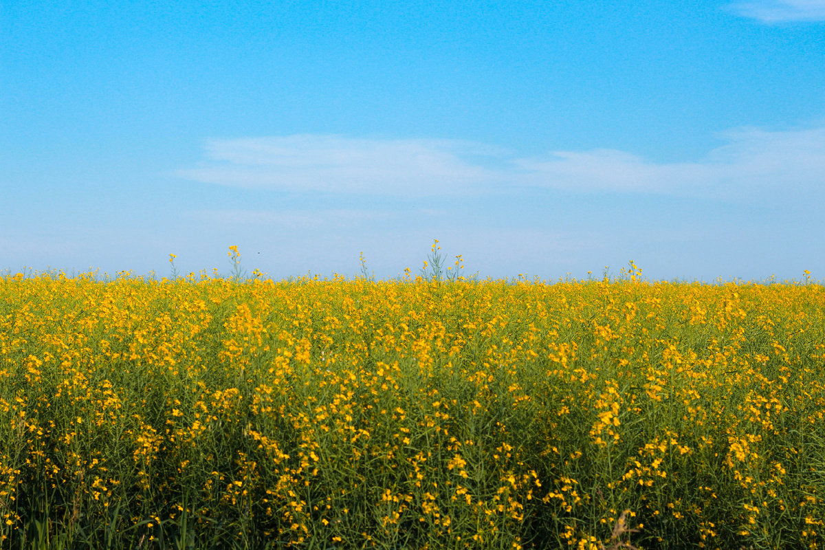 Photo by Quynh Do on Unsplash