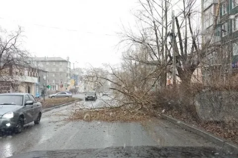 Последствия стихийного бедствия