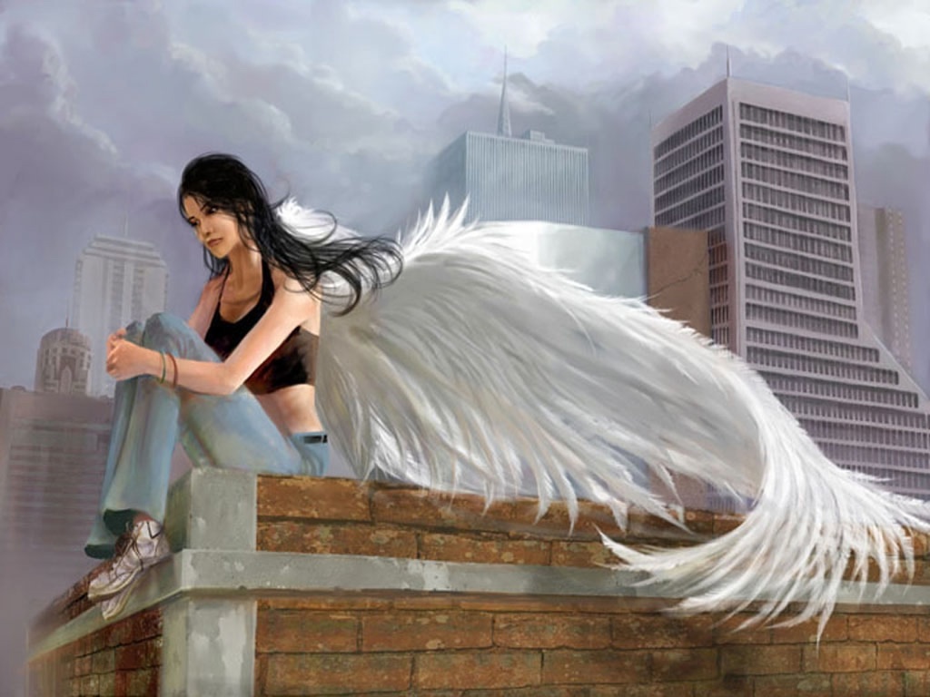 картинки яндекса