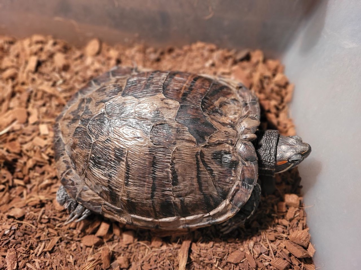 Знакомьтесь. Федя