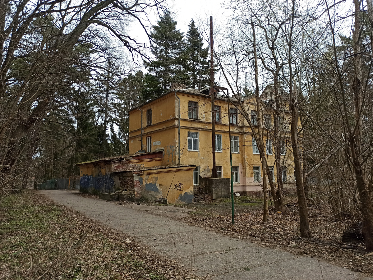 фото автора, апрель 2025 год