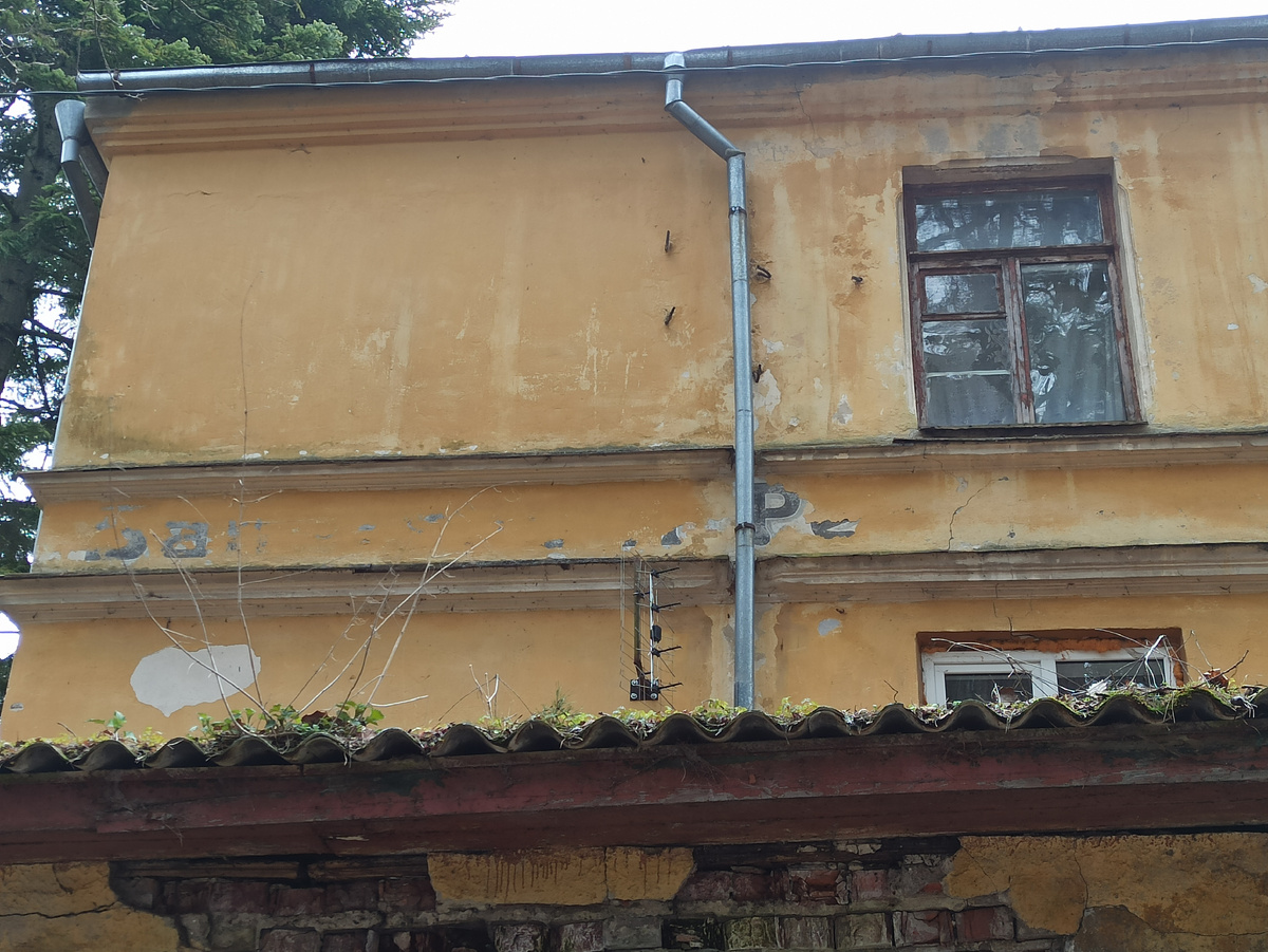 фото автора, апрель 2025 год