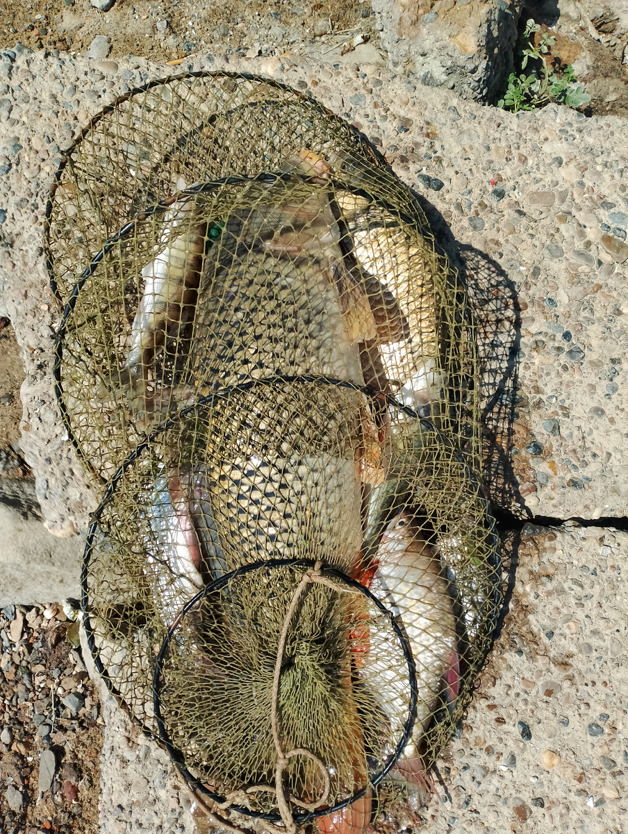 Кому интересно, подписывайся