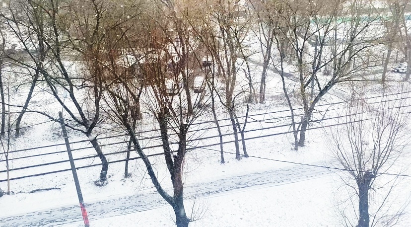 Вот такая красота у нас на улице 