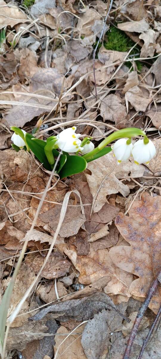 Фото подарок мужа в период теплых дней.