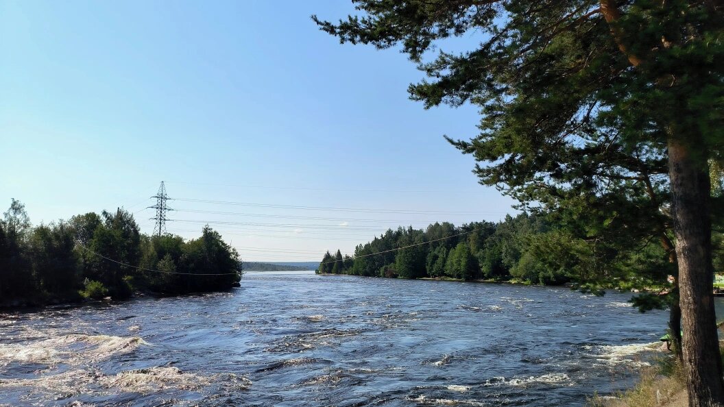    ФОТО: Maksim Konstantinov/Globallookpress/Globallookpress