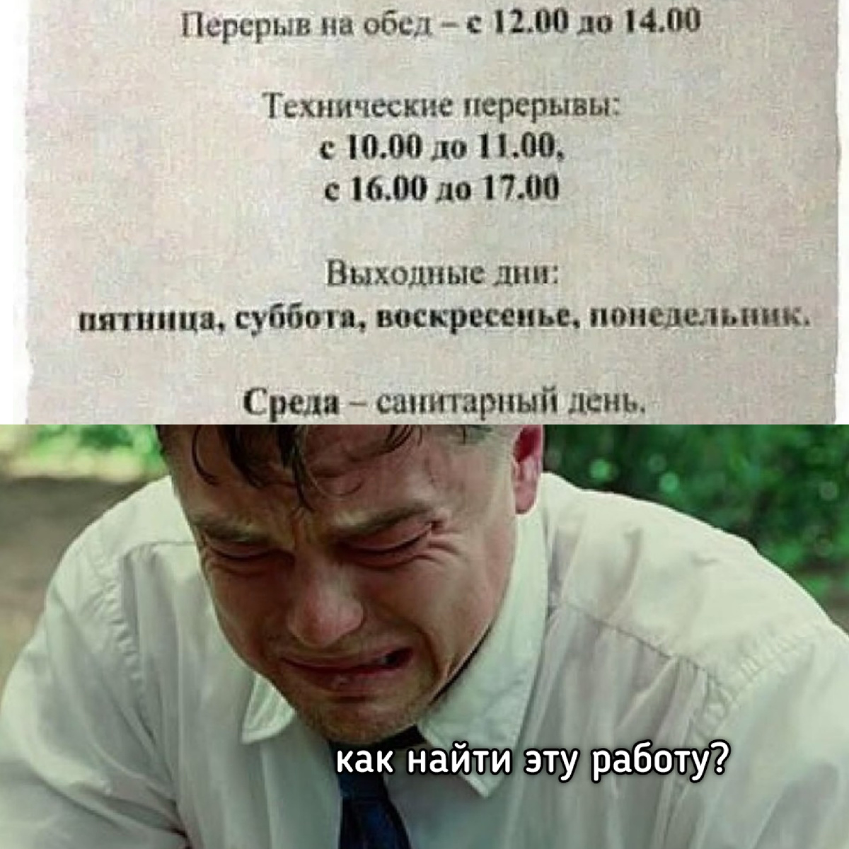 scale_1200