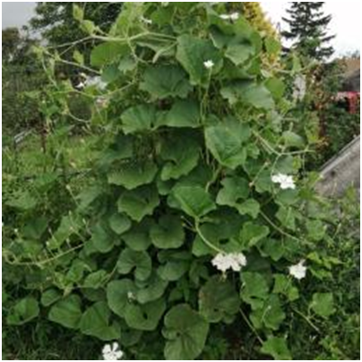 Личное фото автора.