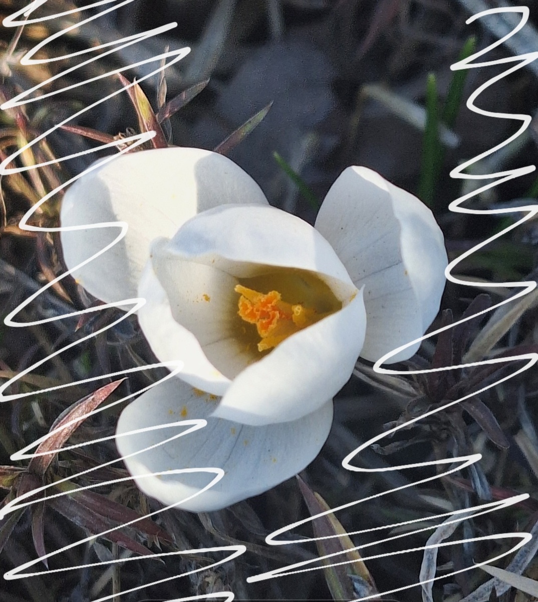 Фотоколлаж - собственность автора канала.