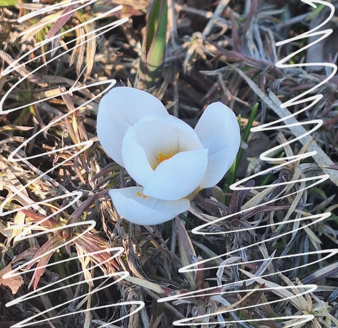 Фотоколлаж - собственность автора канала.