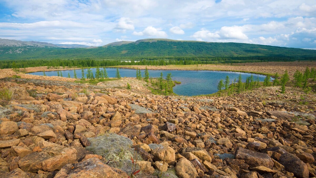    Фото: Karasev Viktor/Shutterstock/Fotodom