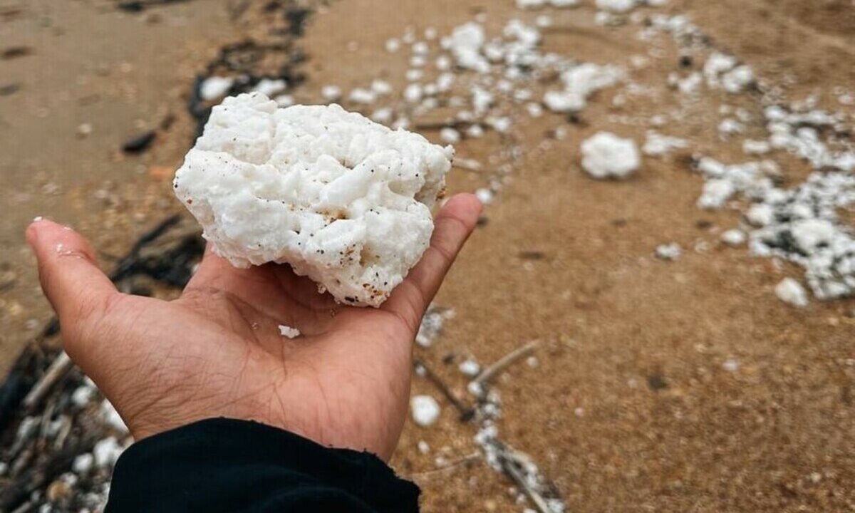    Фото t.me/novosti_novoross