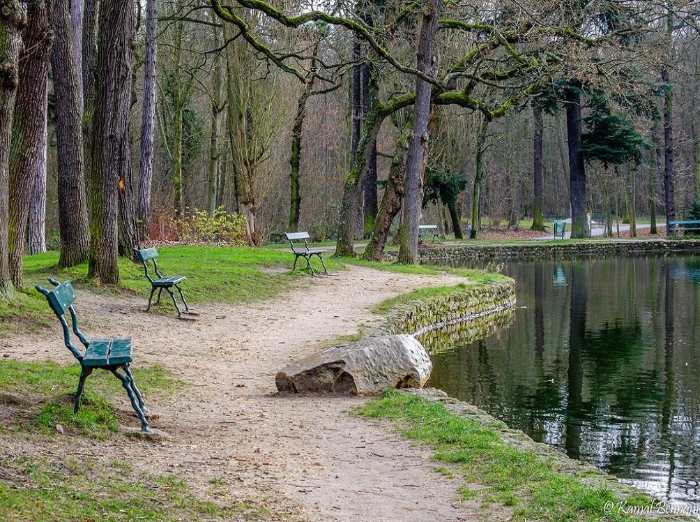 Булонский лес. Фото из сети 