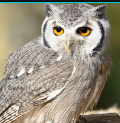 Достаточно милая