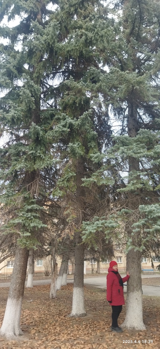 Фото автора 