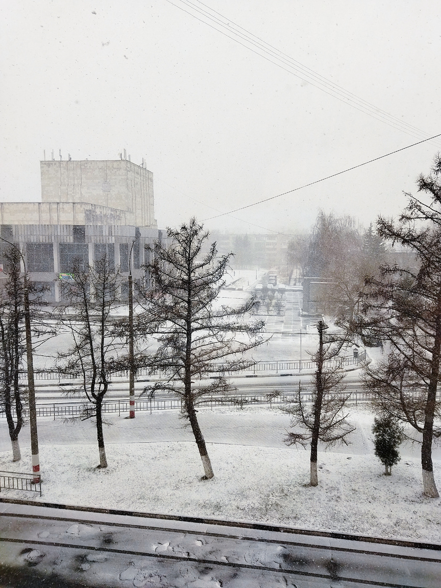 Зима за моим окном