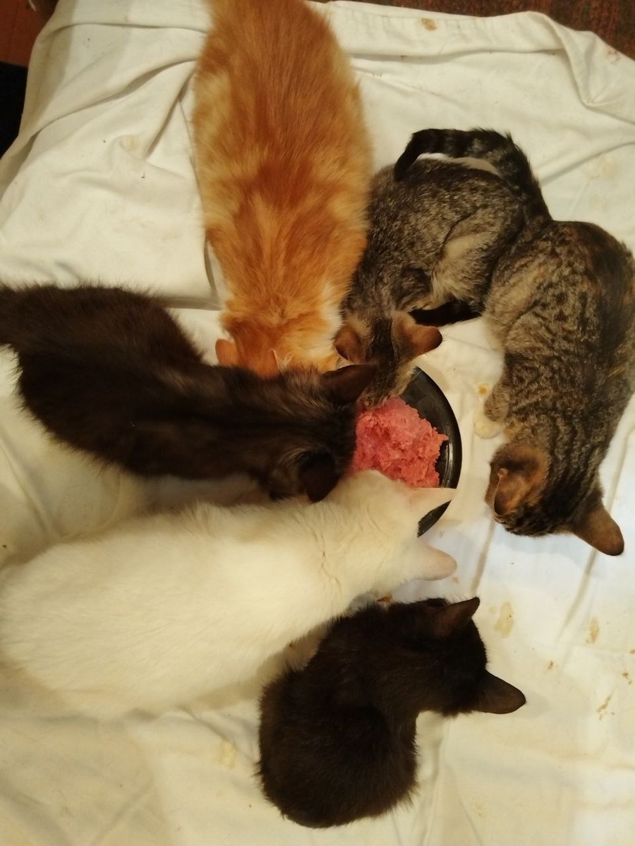 А нам тогда было весело