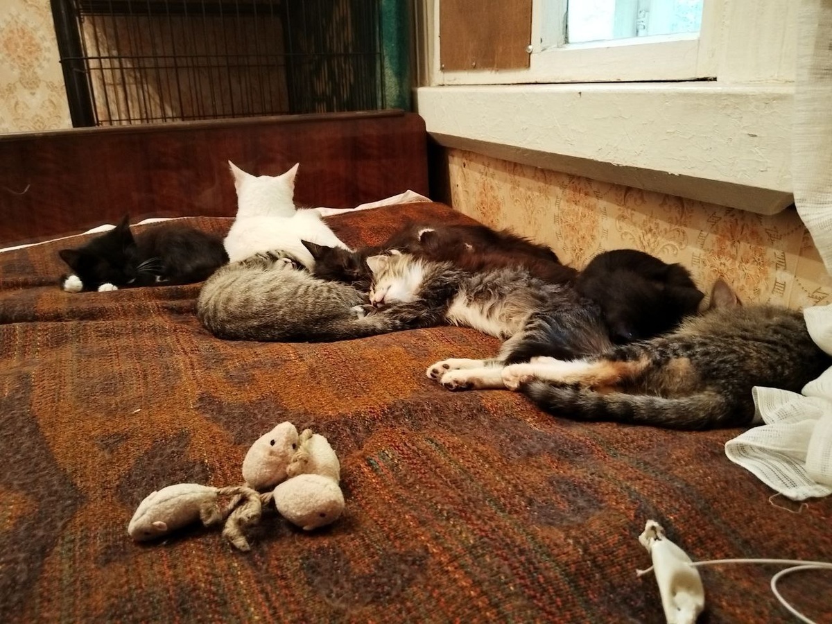 А вот здесь уже нет