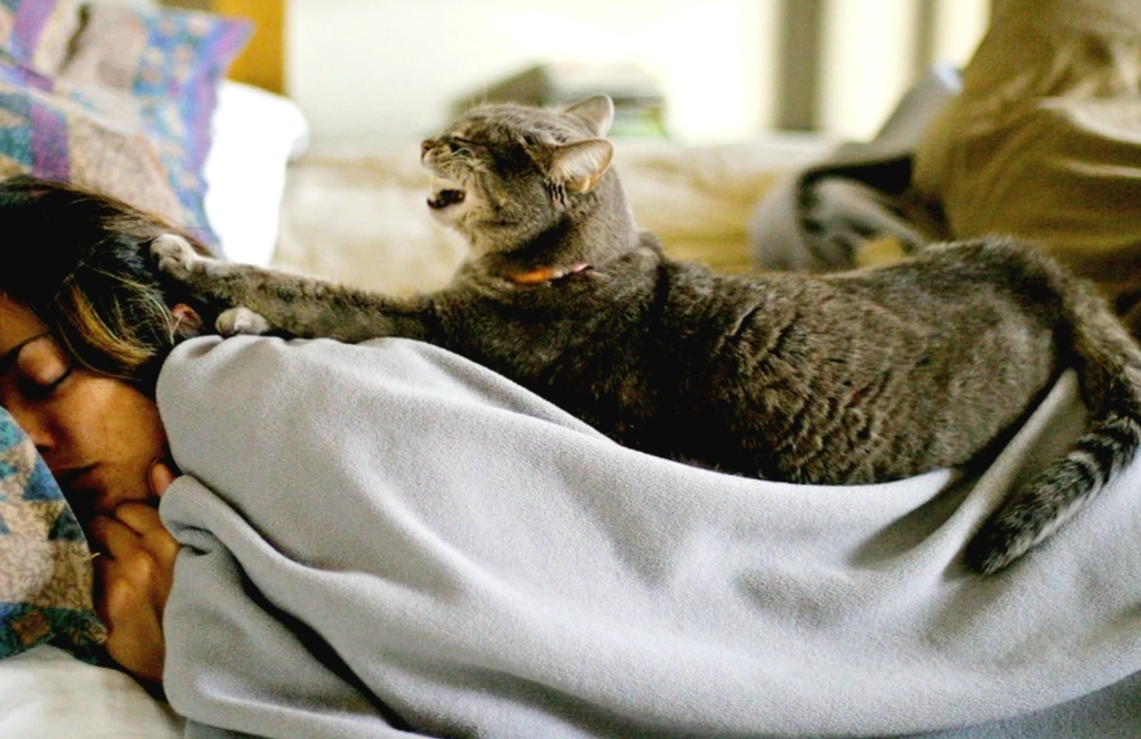 Гарантированное пробуждение обеспечено!