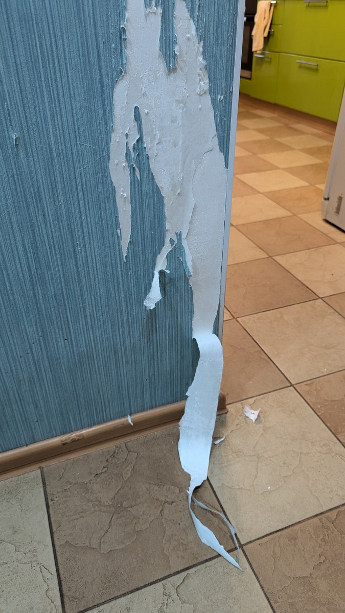 Васькин дизайн в коридоре