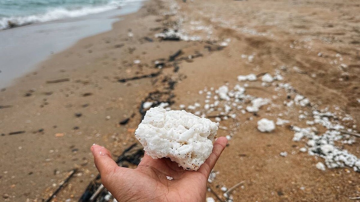    Фото: t.me/setisitolopata