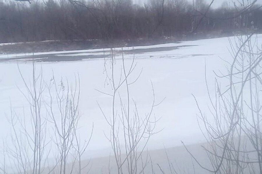     / Источник: © СУ СК России по Республике Коми